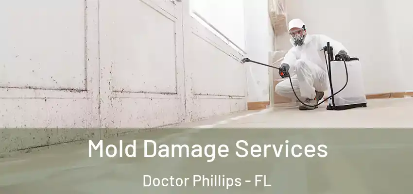  Mold Damage Services Doctor Phillips - FL