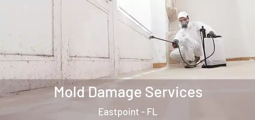  Mold Damage Services Eastpoint - FL