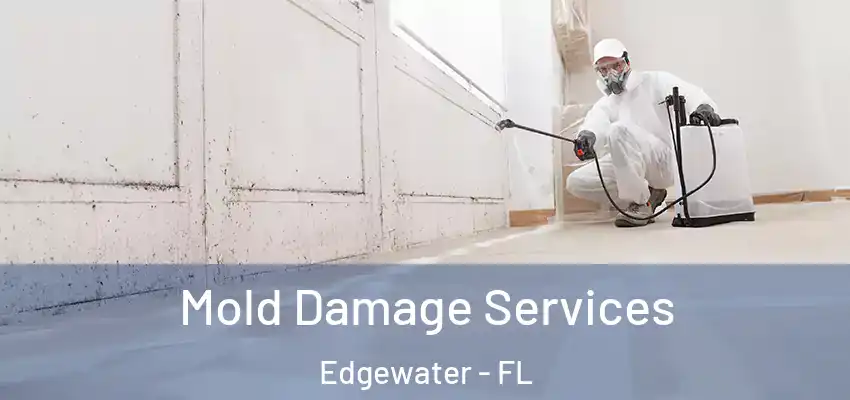 Mold Damage Services Edgewater - FL