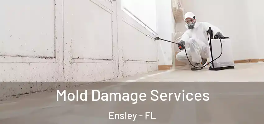  Mold Damage Services Ensley - FL