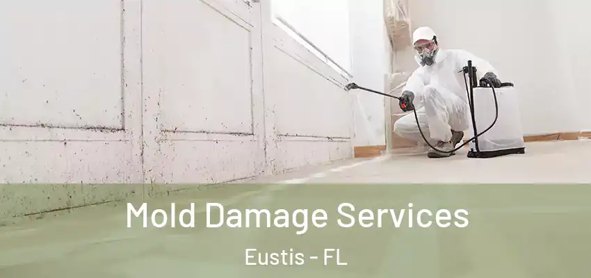 Mold Damage Services Eustis - FL