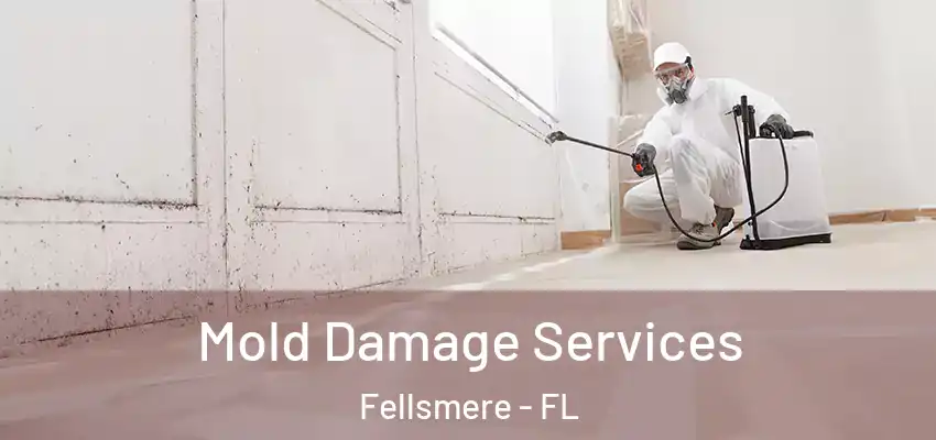 Mold Damage Services Fellsmere - FL