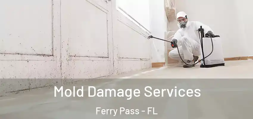  Mold Damage Services Ferry Pass - FL
