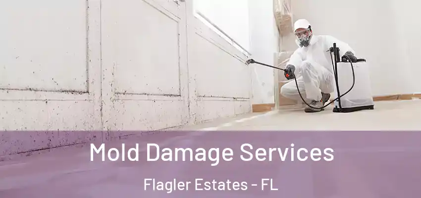  Mold Damage Services Flagler Estates - FL