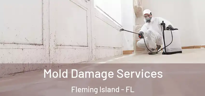  Mold Damage Services Fleming Island - FL