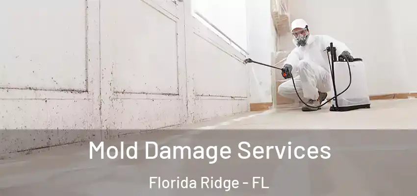  Mold Damage Services Florida Ridge - FL