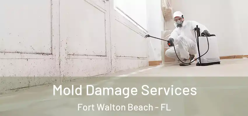  Mold Damage Services Fort Walton Beach - FL