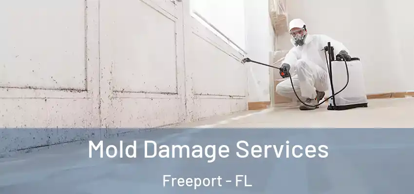  Mold Damage Services Freeport - FL