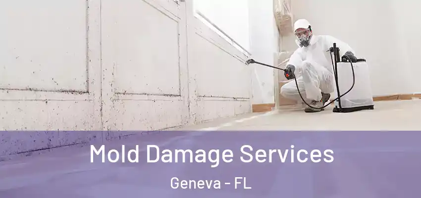 Mold Damage Services Geneva - FL
