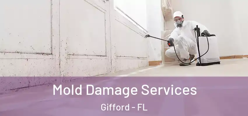  Mold Damage Services Gifford - FL