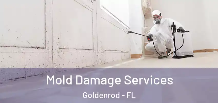 Mold Damage Services Goldenrod - FL