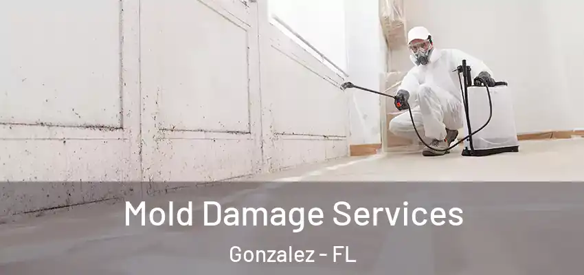 Mold Damage Services Gonzalez - FL