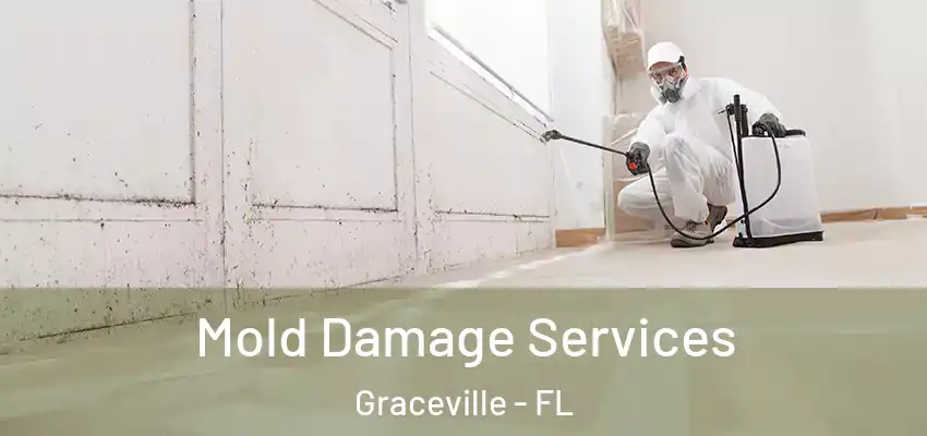 Mold Damage Services Graceville - FL
