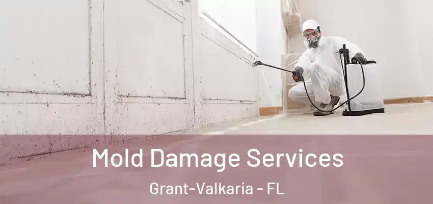  Mold Damage Services Grant-Valkaria - FL