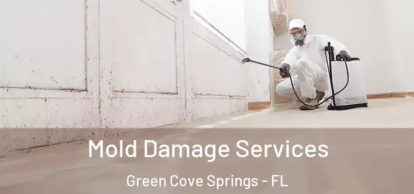  Mold Damage Services Green Cove Springs - FL