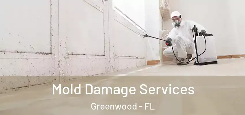 Mold Damage Services Greenwood - FL
