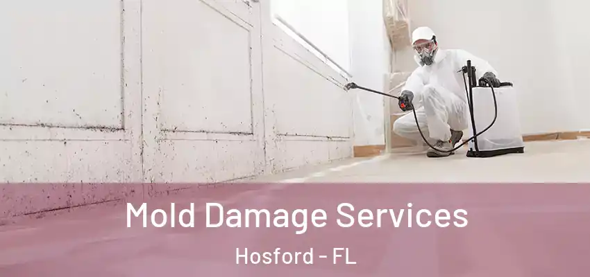  Mold Damage Services Hosford - FL