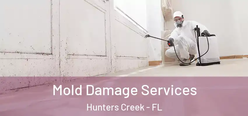 Mold Damage Services Hunters Creek - FL