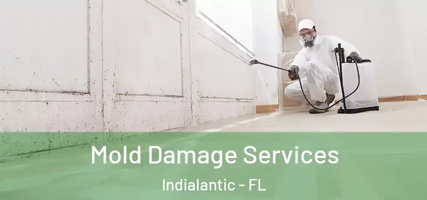 Mold Damage Services Indialantic - FL
