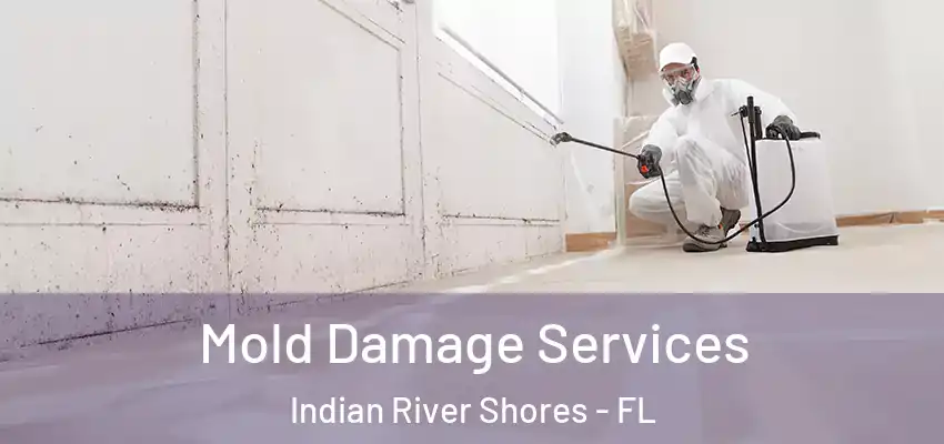 Mold Damage Services Indian River Shores - FL