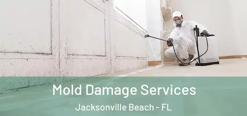 Mold Damage Services Jacksonville Beach - FL