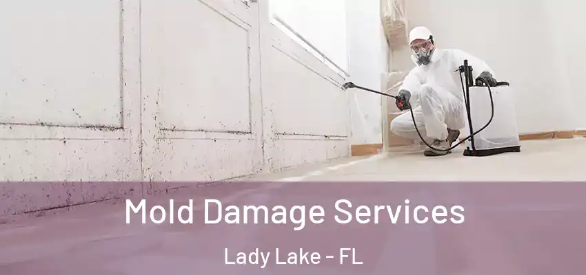 Mold Damage Services Lady Lake - FL