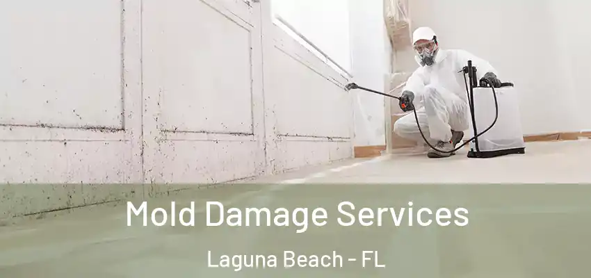 Mold Damage Services Laguna Beach - FL