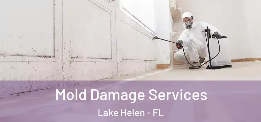 Mold Damage Services Lake Helen - FL
