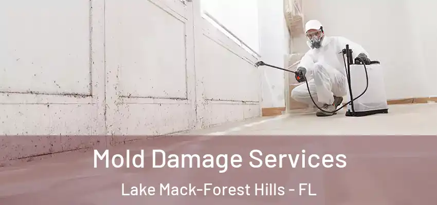  Mold Damage Services Lake Mack-Forest Hills - FL