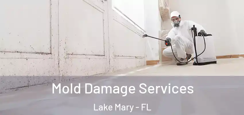  Mold Damage Services Lake Mary - FL