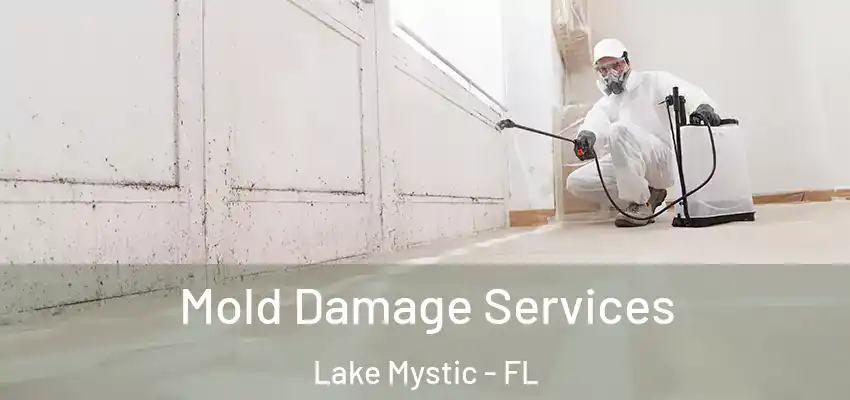  Mold Damage Services Lake Mystic - FL