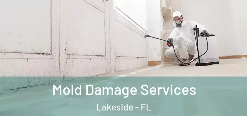  Mold Damage Services Lakeside - FL