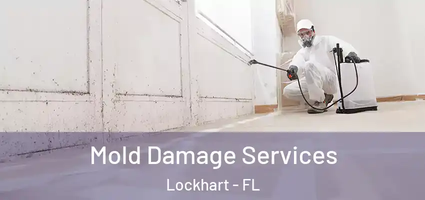 Mold Damage Services Lockhart - FL
