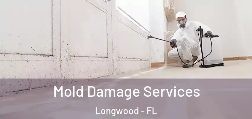  Mold Damage Services Longwood - FL