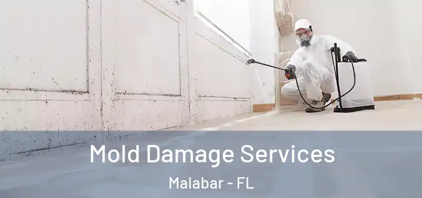  Mold Damage Services Malabar - FL