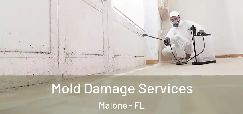  Mold Damage Services Malone - FL