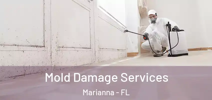 Mold Damage Services Marianna - FL