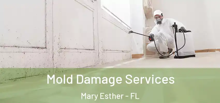  Mold Damage Services Mary Esther - FL