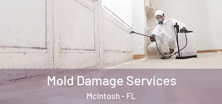 Mold Damage Services McIntosh - FL