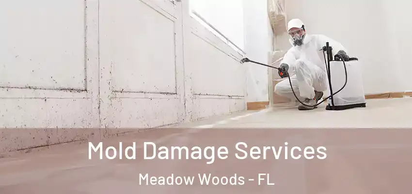 Mold Damage Services Meadow Woods - FL
