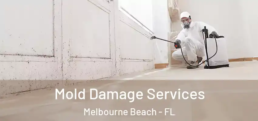  Mold Damage Services Melbourne Beach - FL