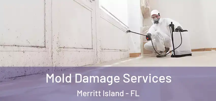  Mold Damage Services Merritt Island - FL