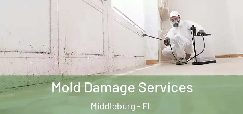  Mold Damage Services Middleburg - FL