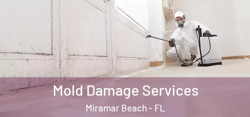 Mold Damage Services Miramar Beach - FL