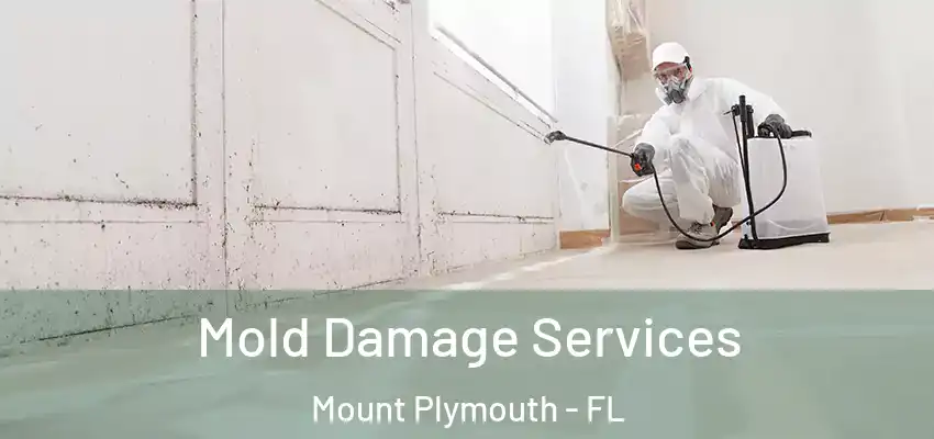 Mold Damage Services Mount Plymouth - FL