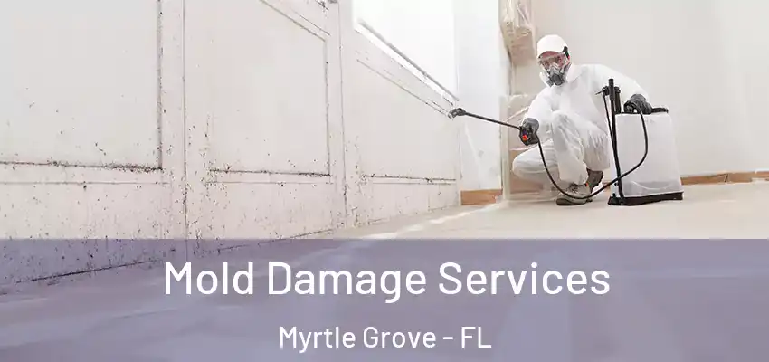 Mold Damage Services Myrtle Grove - FL