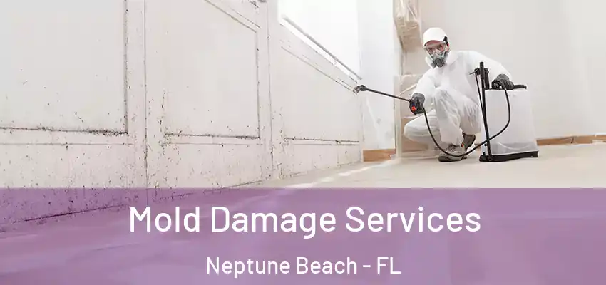  Mold Damage Services Neptune Beach - FL
