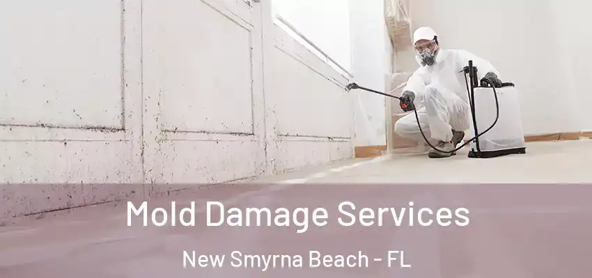  Mold Damage Services New Smyrna Beach - FL