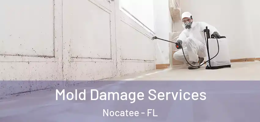 Mold Damage Services Nocatee - FL