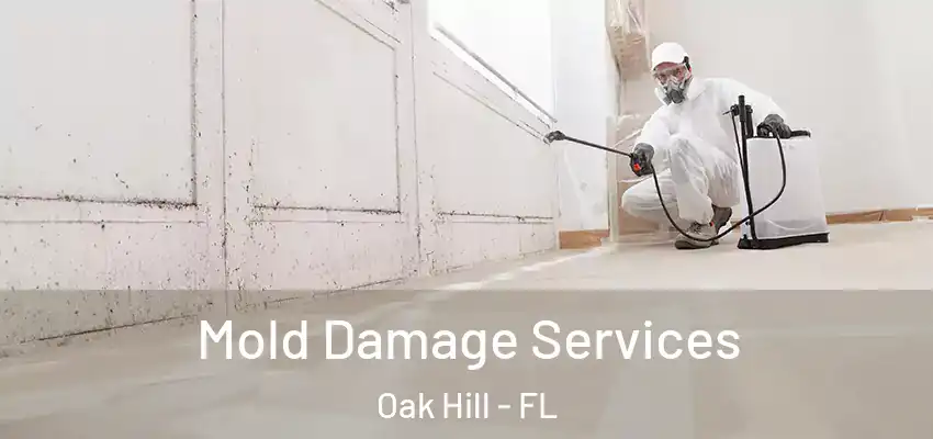  Mold Damage Services Oak Hill - FL